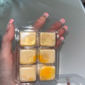 fruitasia wax melts